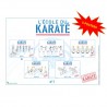 5 posters L'École du Karaté, 42 x 30 cm - Courtonne, Descours & Luzio