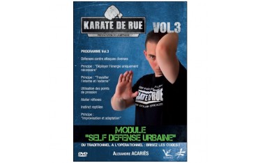 Karate de rue Vol.3 - Alexandre Acariès