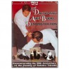 50th Daito-Ryu Aiki Budo Demonstration