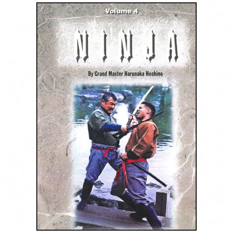 Ninja Style Kenjutsu Vol.4 - Hoshino