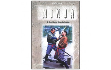 Ninja Style Kenjutsu Vol.4 - Hoshino