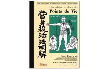 Points de vie, l'art sublime et ultime - Henry Plée