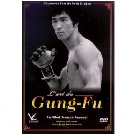 L'art du Gung-Fu - François Arambel