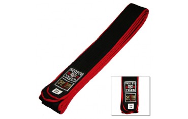 Ceinture piquée Viet Vo Dao