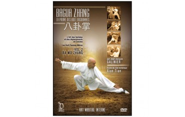Bagua Zhang, La paume des 8 Trigrammes Vol.2 - Galinier