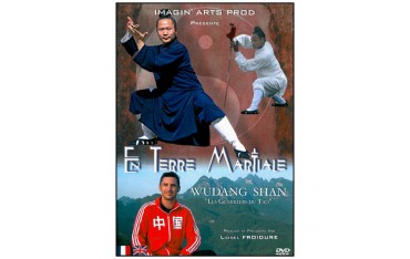 En terre Martiale,Wudang Shan les Guerriers du Tao - Lionel Froidure