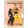 Shaolin Hung Gar Kung fu - M Sewer