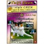 Taiji Quan style Chen V5 applications martiales- Galinier