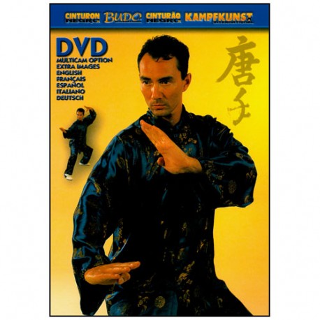 Ling Gar Tai Chi Qi Gong - Vincent Lyn