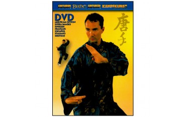 Ling Gar Tai Chi Qi Gong - Vincent Lyn