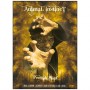 Coffret Animals instinct (dvd.208 -dvd.209 -dvd.210)