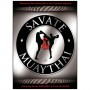 Coffret Savate & Muay Thai (dvd.05 - dvd.131 - dvd.18 - dvd.196)