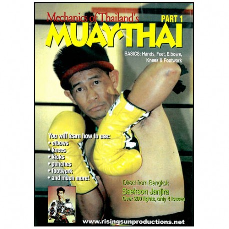 Muay-Thai mechanics of Thailand