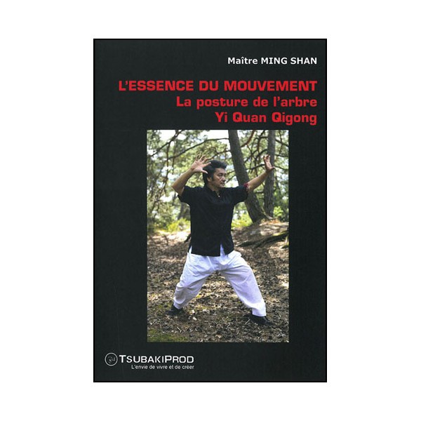 L'essence du mouvement, la posture de l'arbre Yi Quan QG - Ming Shan