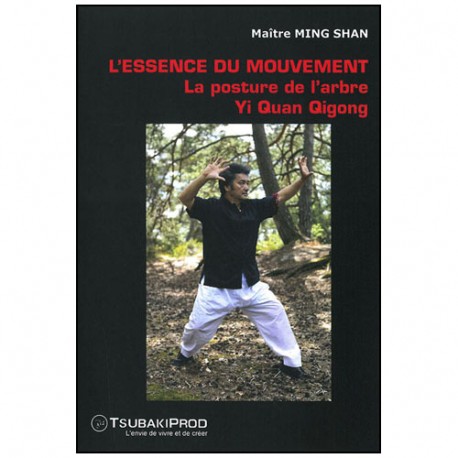L'essence du mouvement, la posture de l'arbre Yi Quan QG - Ming Shan