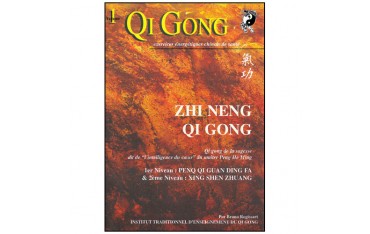 Qi Gong Zhi Neng Qi Gong, 1er & 2eme niveaux - Bruno Rogissart