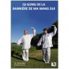 Qi Gong de la bannière de Ma Wang Dui - Thierry Alibert & A Hausman