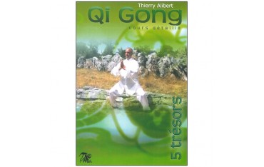 Qi Gong des 5 trésors, cours détaillé - Thierry Alibert