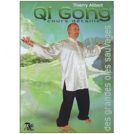Qi Gong des grandes oies sauvages Volume 2 - Thierry Alibert (2 dvd)
