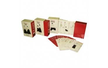 Coffret Aikido 213 cartes (coffret Uke-Tori-Kamae)