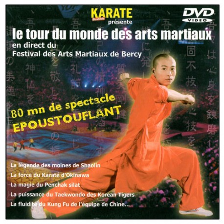 Le Tour du Monde des Arts Martiaux (Bercy)