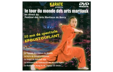 Le Tour du Monde des Arts Martiaux (Bercy)