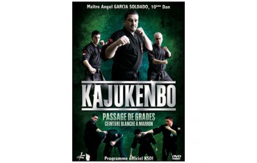 Kajukenbo passage de grades : ceinture blanche à marron - Garcia