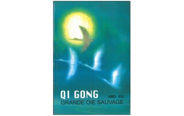 Qi Gong grande oie sauvage - James Kou