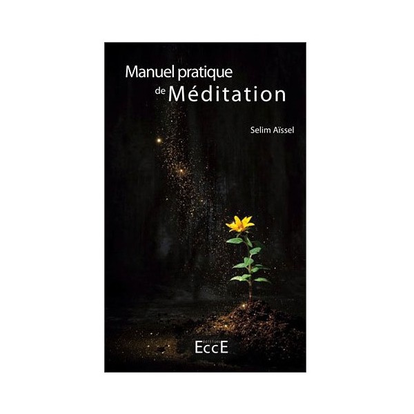 Manuel pratique de méditation - Selim Aïssel
