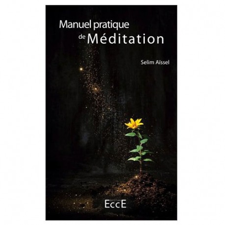 Manuel pratique de méditation - Selim Aïssel