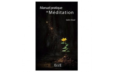 Manuel pratique de méditation - Selim Aïssel