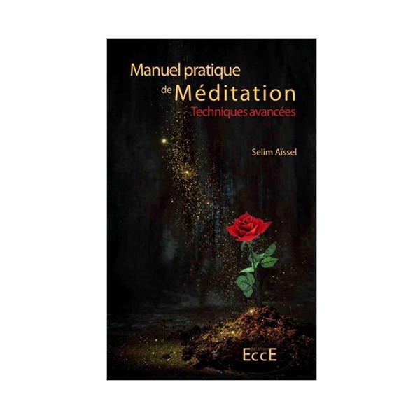 Manuel pratique de méditation, techniques avancées - Selim Aïssel