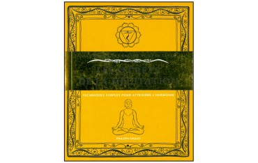 Les secrets de la méditation - Martin Faulks