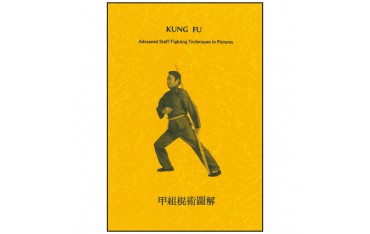 Kung Fu advanced Staff fighting techniques - Chao (anglais)