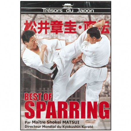 Best of Sparring - Maître Matsui