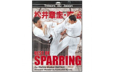 Best of Sparring - Maître Matsui