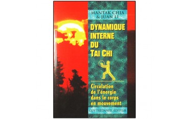 Dynamique interne du Tai-Chi - Mantak Chia/Juan Li