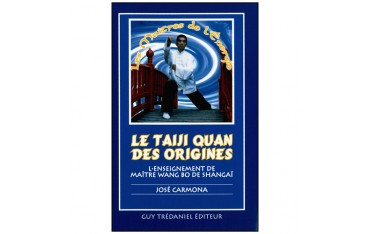 Le Taiji Quan des origines, enseig. de Maître Wang Bo - José Carmona
