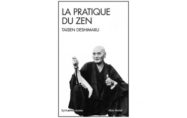 La pratique du Zen - Taisen Deshimaru