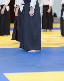 Aikido kendo